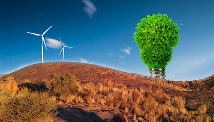 2020年全国生物质发电运行情况简报