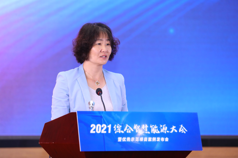 2021综合智慧能源大会暨优秀示范项目案例发布会于雄安成功举办